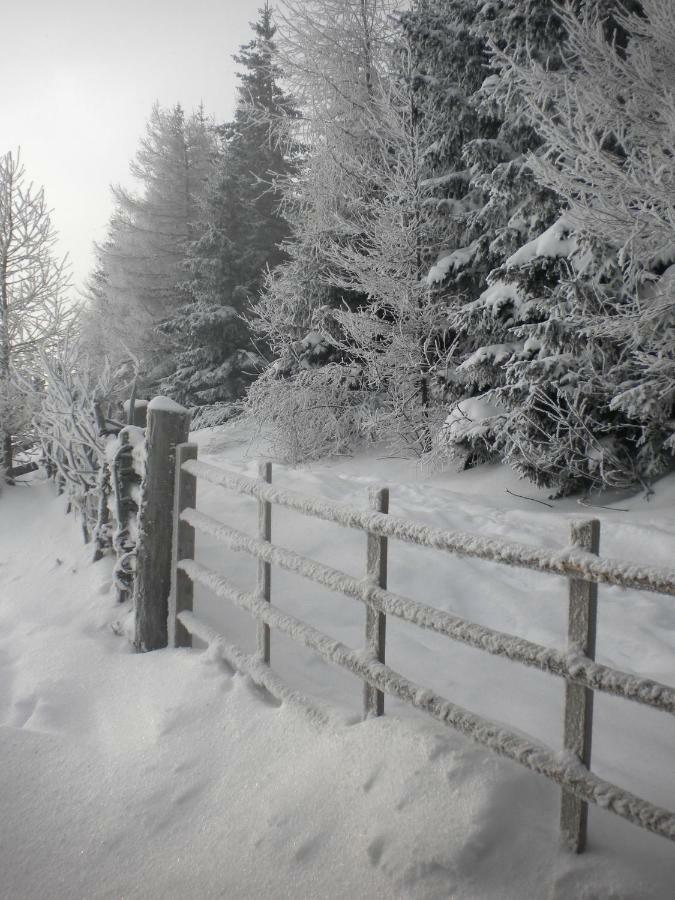 Sommeralmhuette Sankt Kathrein am Offenegg Exteriér fotografie